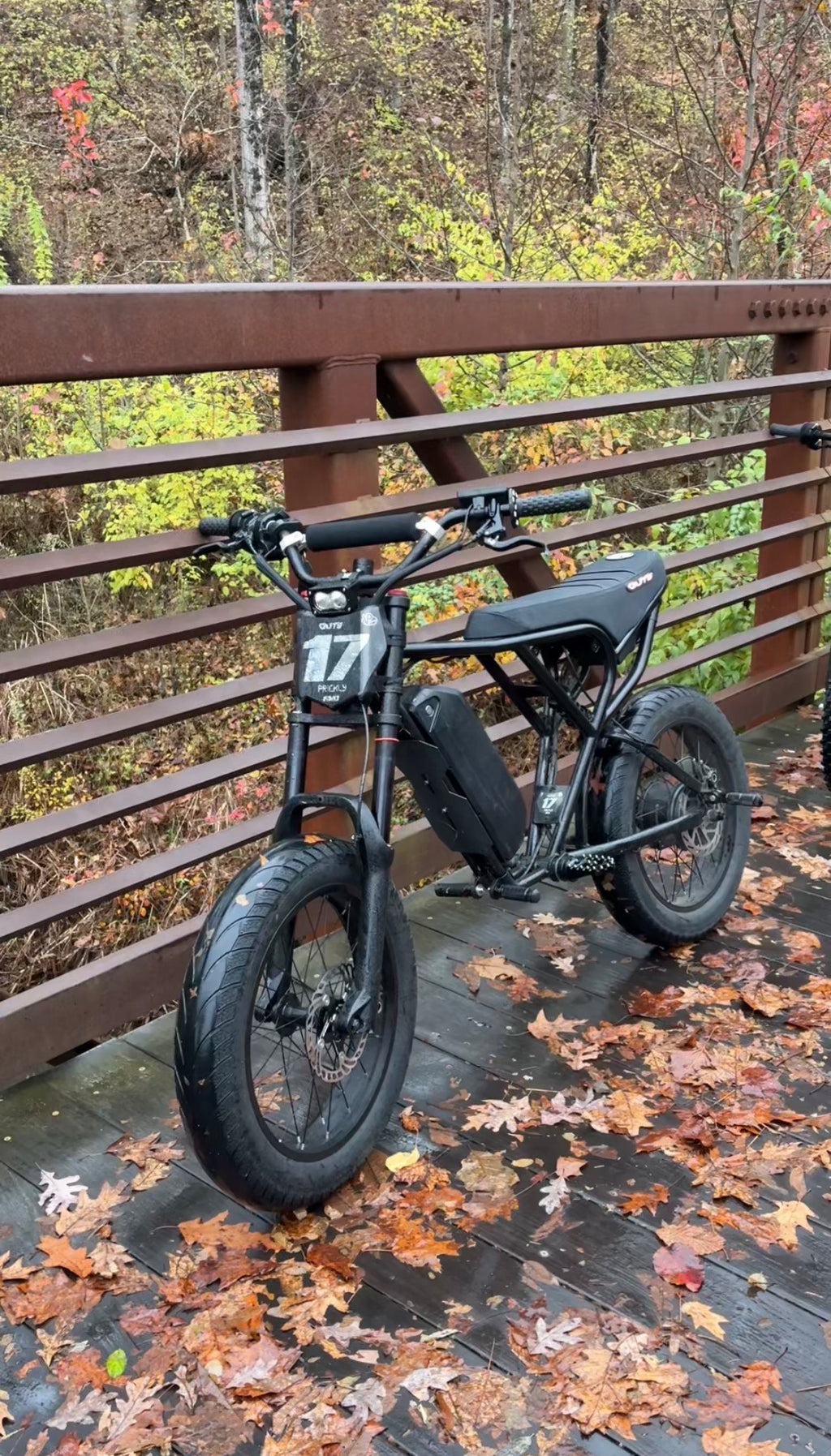 (PRE-ORDERS) E-bike Supermoto Tire Set